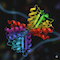Antibody Engineering